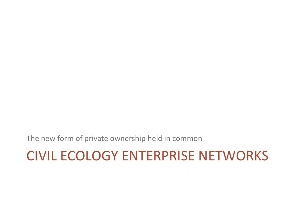 Civil Ecology Enterprise Networks