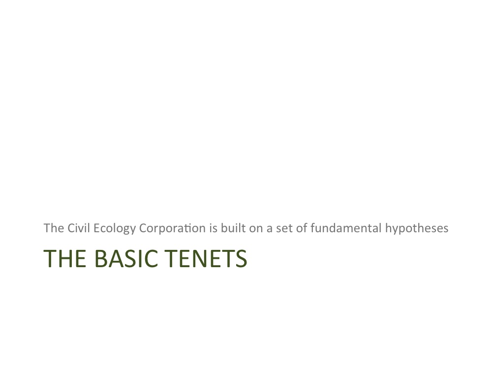 The Basic Tenets